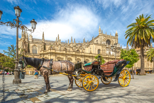 Seville, Andalusia, Spain - April 18, 2016: typical old carriage drawn by a white horse stopped in front of Cathedral of Seville.