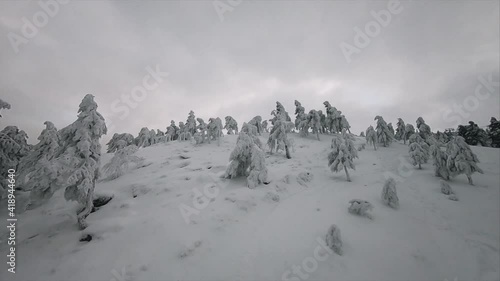 High Speed FPV Drone Flying in Winter Wonderland Forest on Hill, POV. photo