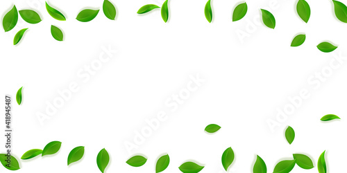 Falling green leaves. Fresh tea neat leaves flying