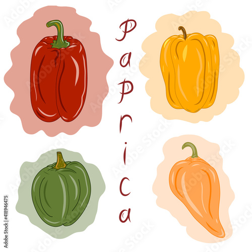 Collection of paprica illustrations. Idea for decors, icons, logo, patterns, celebrations, spring holidays, kitchen and cooking themes. Isolated vectors. Read-made artworks. 