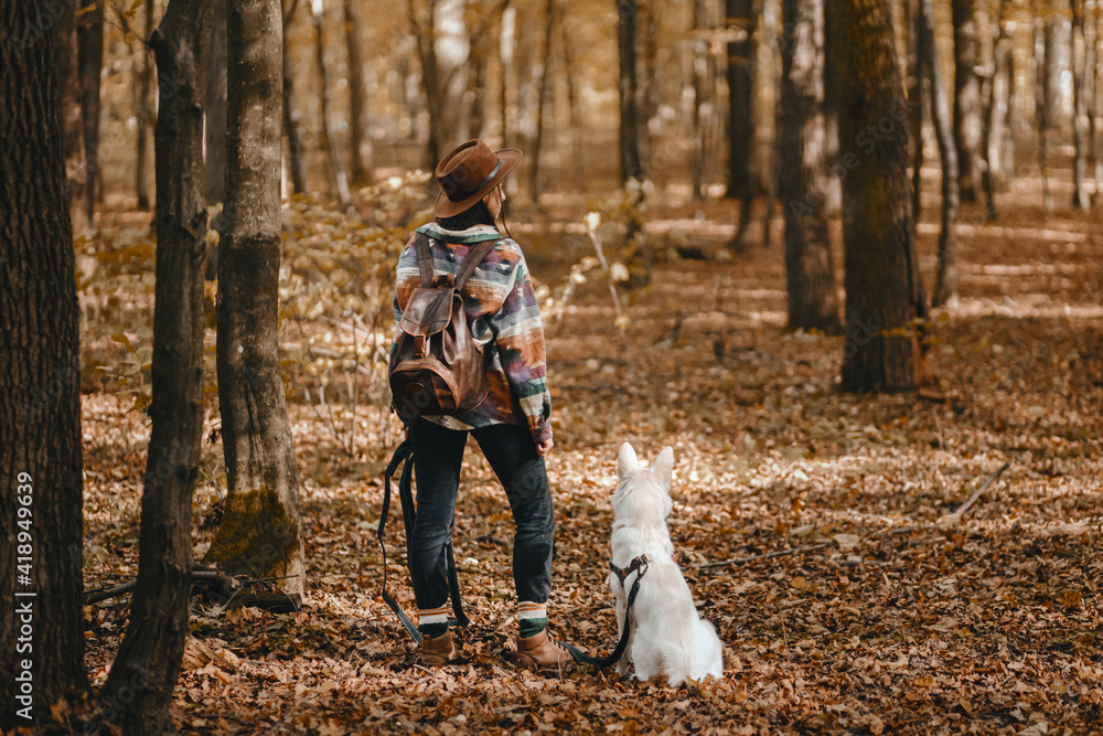 Fototapeta premium Stylish woman with backpack hiking with white dog in sunny autumn woods. Cute swiss shepherd puppy