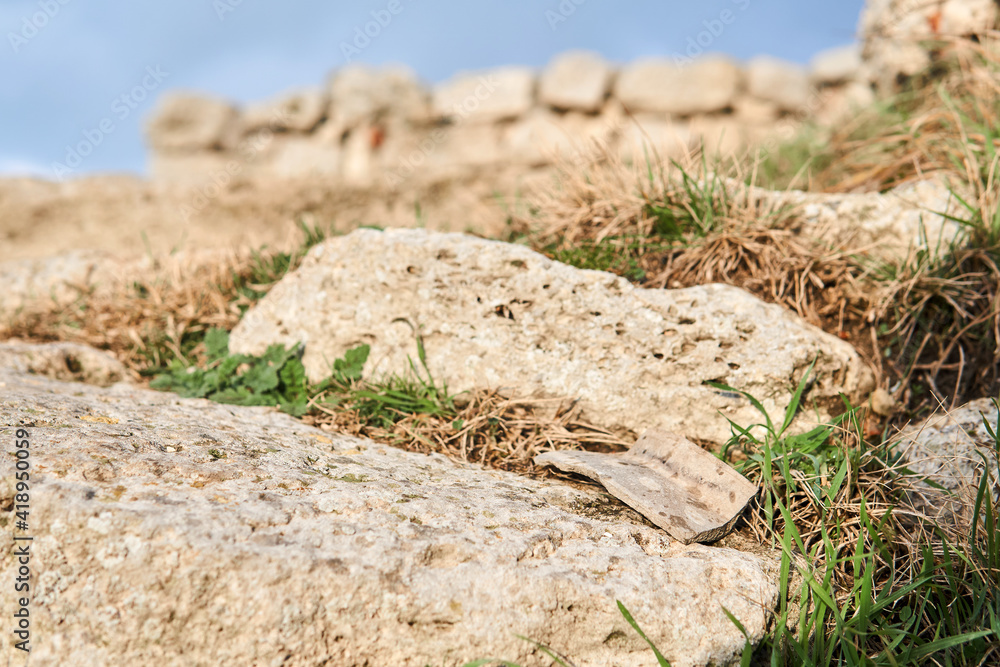 shard of ancient ceramics on a stone against a background of blurry ancient ruins