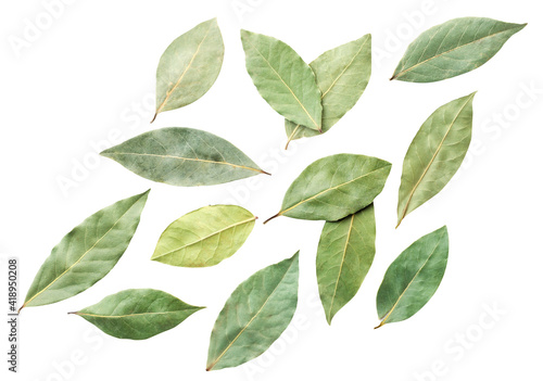 Dry bay leaves flying on a white. Top view.