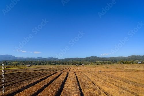 landscape with agricultural land on the plains that had recently been plowed and seeded with straw covered To maintain moisture and prevent destruction from animals and insects Prepare for planting