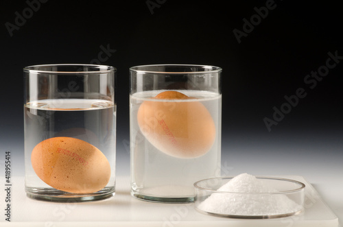 Physics. Egg floating in salt water.