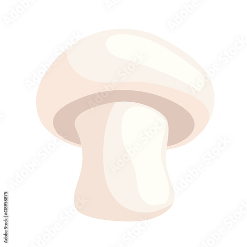 fresh mushroom vegetable healthy food