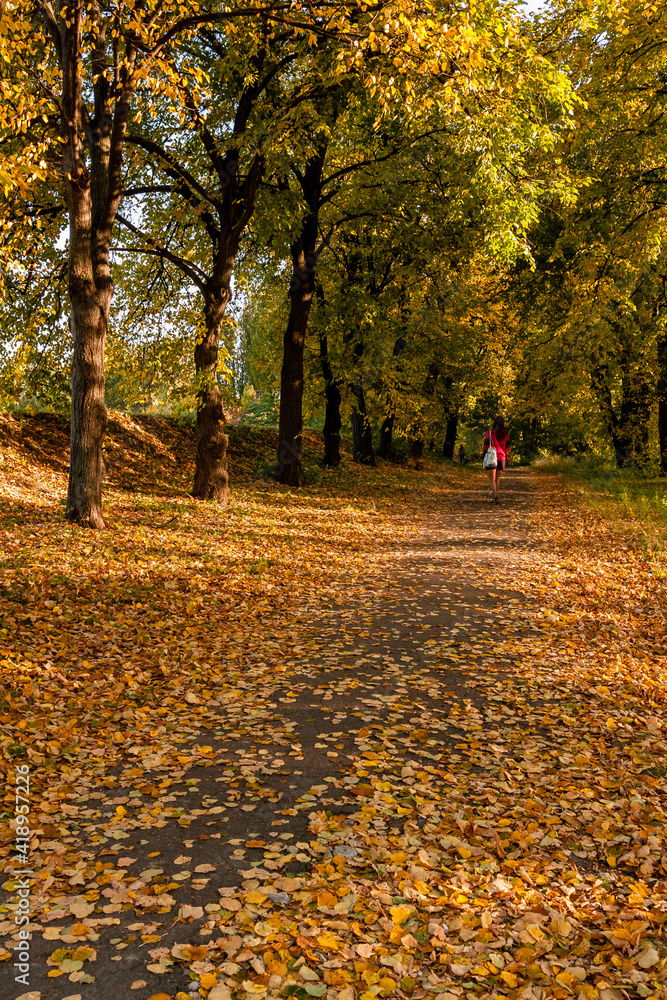 Autumn sunlay in the leaves on which the girl goes Autumn sunlay in the leaves on which the girl goes
