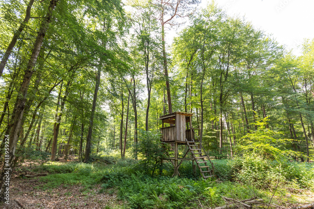 Hochsitz zur Jagd im Wald Hochsitz zur Jagd im Wald