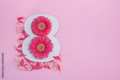 Two pink gerbera flowers on a pink background. Copy space. creative concept for March 8th