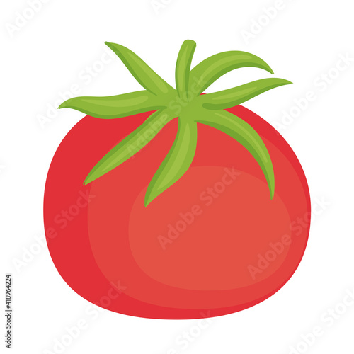 fresh tomato vegetable healthy food