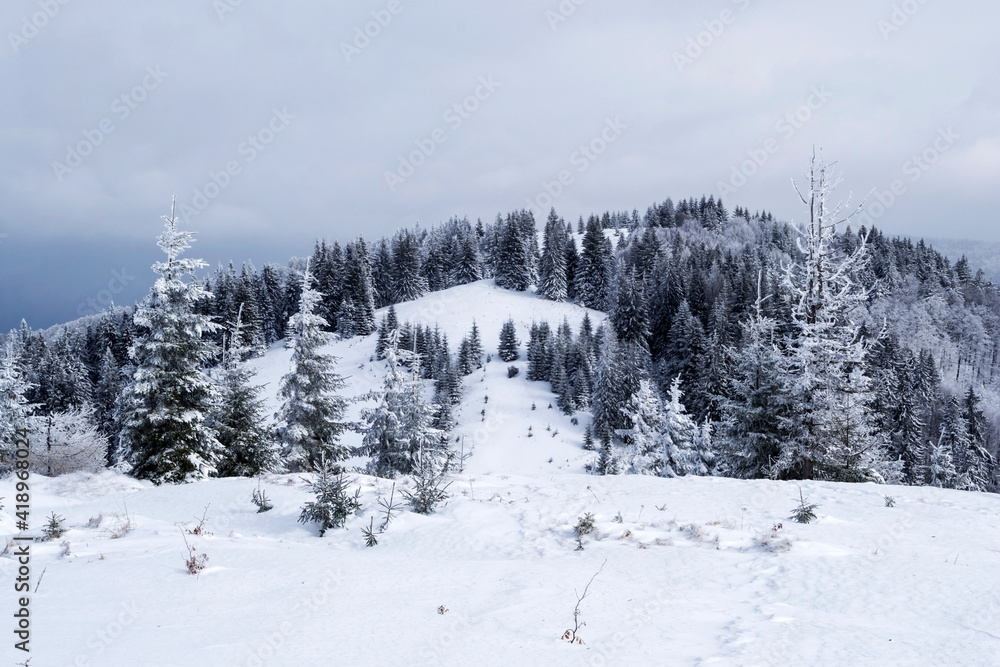 Grecului valley seen from the Grecul peak. Winter landscape between Azuga and Grecul peak towards Gura Diham chalet. Romania.