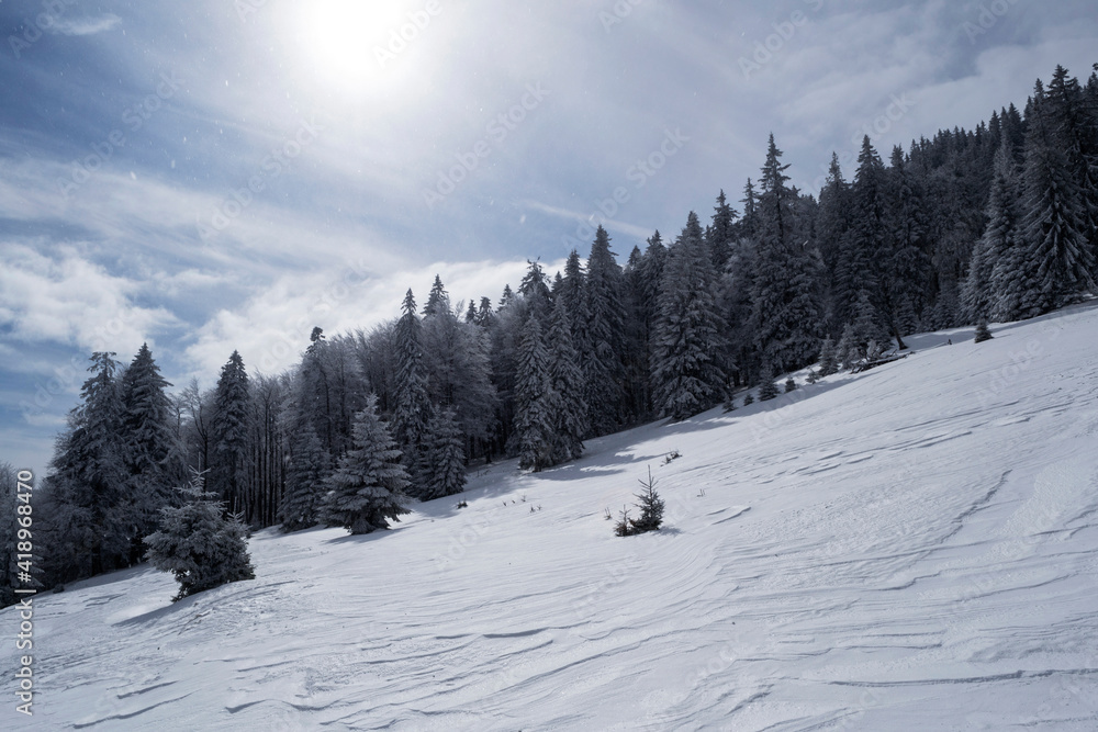Landscape in Saua Baiului. Winter landscape between Azuga and Gura Diham cottage Landscape in Saua Baiului. Winter landscape between Azuga and Gura Diham cottage