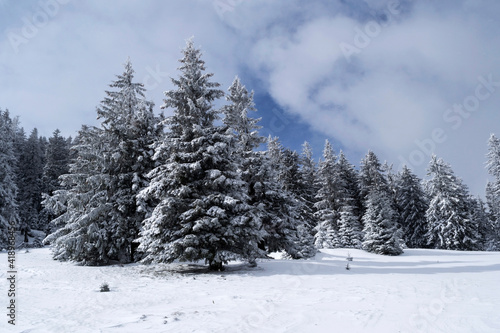 Landscape in Saua Baiului. Winter landscape between Azuga and Gura Diham cottage © Sulugiuc