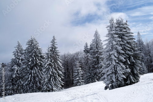 Landscape in Saua Baiului. Winter landscape between Azuga and Gura Diham cottage