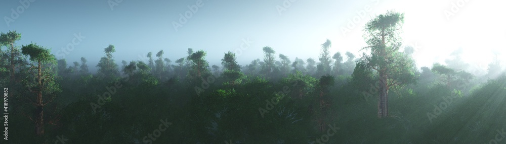 Fototapeta Sequoia grove in the rays of the rising sun, sequoias in the haze, 3d rendering