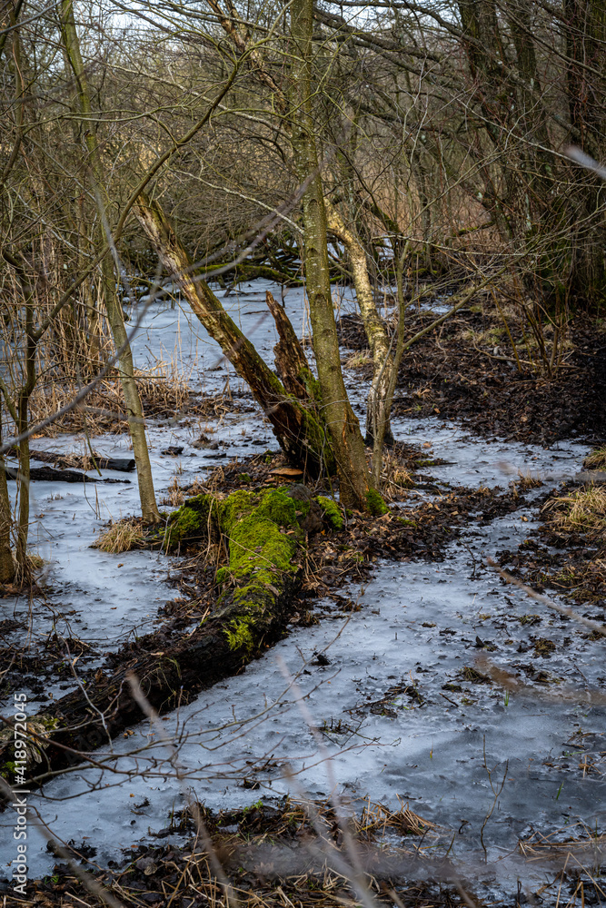 A winter photo of an icy water pond in a forest. Picture from Lund, southern Sweden A winter photo of an icy water pond in a forest. Picture from Lund, southern Sweden