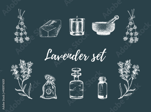 Lavender sketches set. Drawn images in vector.