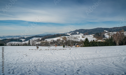 winter landscape in the mountains © vojta