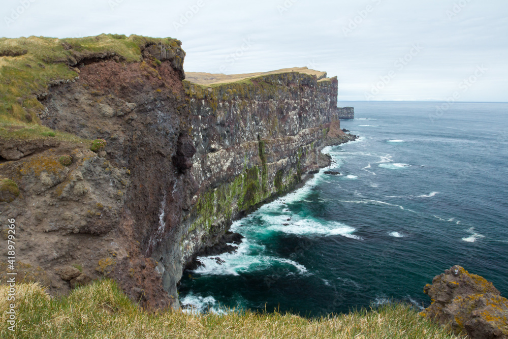 Cliffs of Latrabjarg in the Westfjords, a famous bird breeding place in Iceland