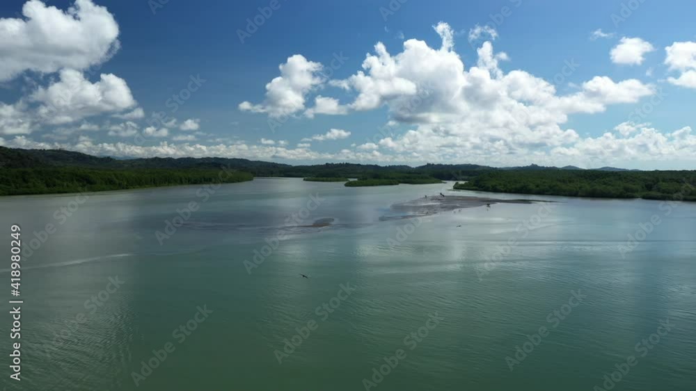 Mangrove landscape punta Zancudo aerial view Costa Rica sunny day Mangrove landscape punta Zancudo aerial view Costa Rica sunny day