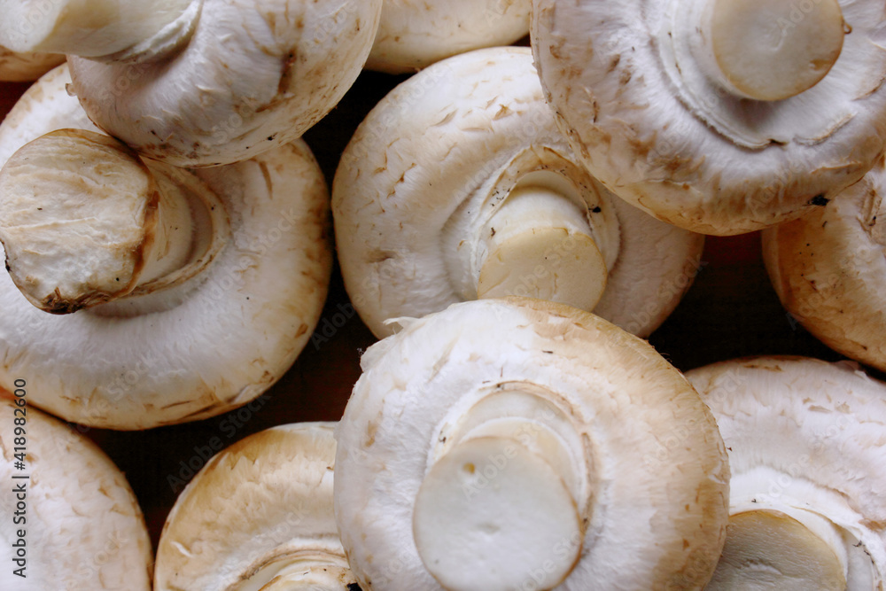 Champignons. Lots of fresh mushrooms close-up view from above. Delicious and healthy mushrooms are grown at home. Fresh raw mushroom. The frame is filled entirely with mushrooms. Background. Food Champignons. Lots of fresh mushrooms close-up view from above. Delicious and healthy mushrooms are grown at home. Fresh raw mushroom. The frame is filled entirely with mushrooms. Background. Food