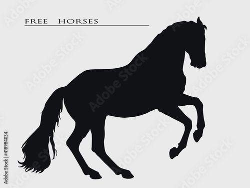 vector isolated black realistic silhouette of a free horse on a light background