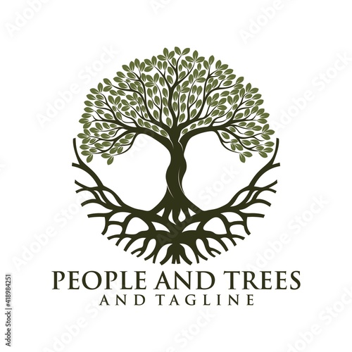green spring tree with female face and roots on white background, vector, Abstract Human tree logo. Unique Tree Vector illustration with circle and abstract woman shape.
