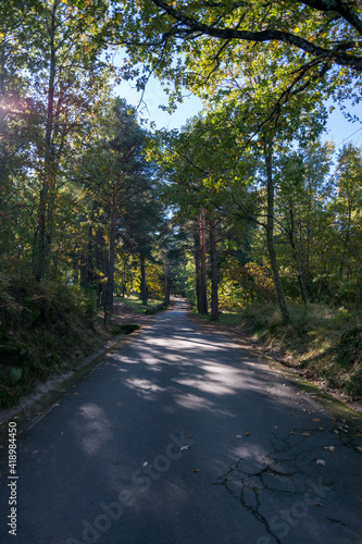 Chestnut forest on the Castañar route in Hervás. They are chestnut in the autumn season where you can see the typical colors in autumn.