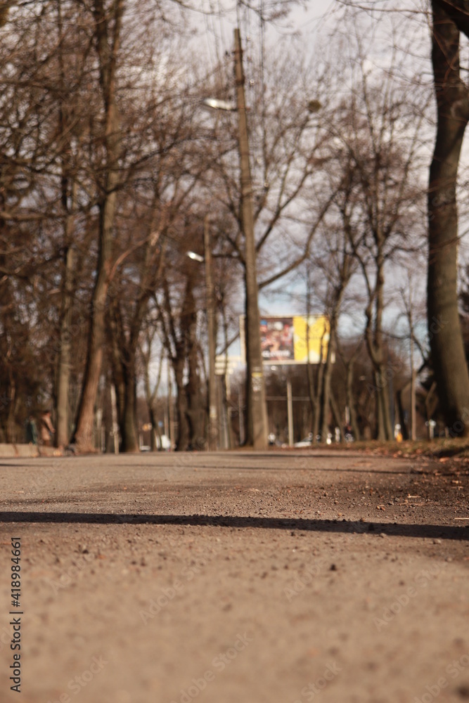 Naklejka premium park in autumn