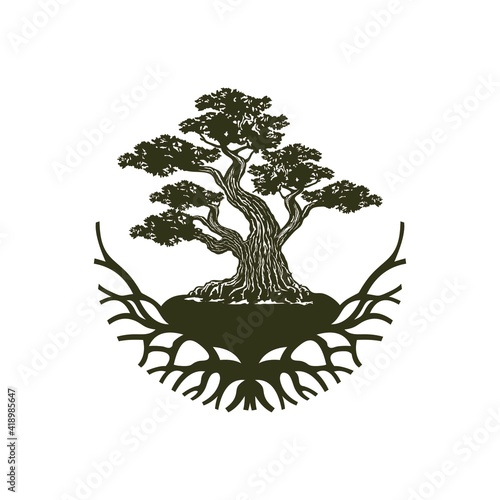 Japanese bonsai tree logo, plant silhouette icons on white background, green ecology silhouette of bonsai and sunset. Detailed image. Bio nature concept. Vector isolated, Natural Bonsai tree logo.