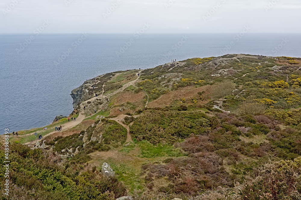 Cliffs along north sea coase of Howth, ireland, with flowering gorse bushes on a cloudy day 