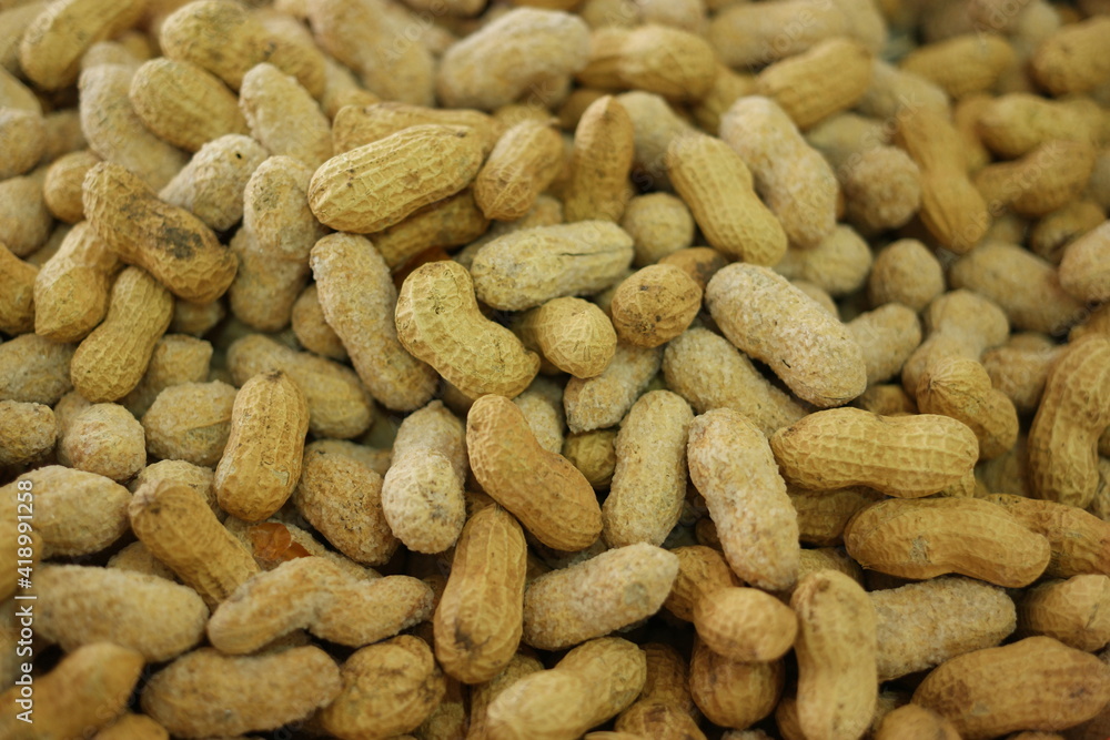Pile of peanuts in shells close up. Organic peanuts background. Pile of peanuts in shells close up. Organic peanuts background.