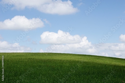 Landscape photo of green grass and sky