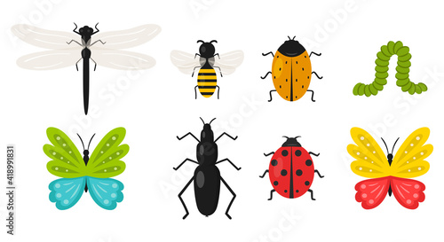 Collection of insects. Butterfly, beetle, bee, caterpillar, ladybug, dragonfly. Summer, spring cute animals in cartoon flat style. Isolated on a white background