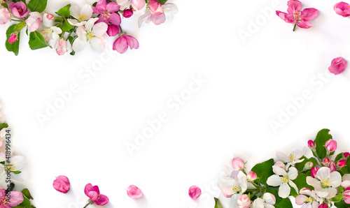 Fototapeta Naklejka Na Ścianę i Meble -  Frame of flowers apple tree on a white background with space for text. Top view, flat lay