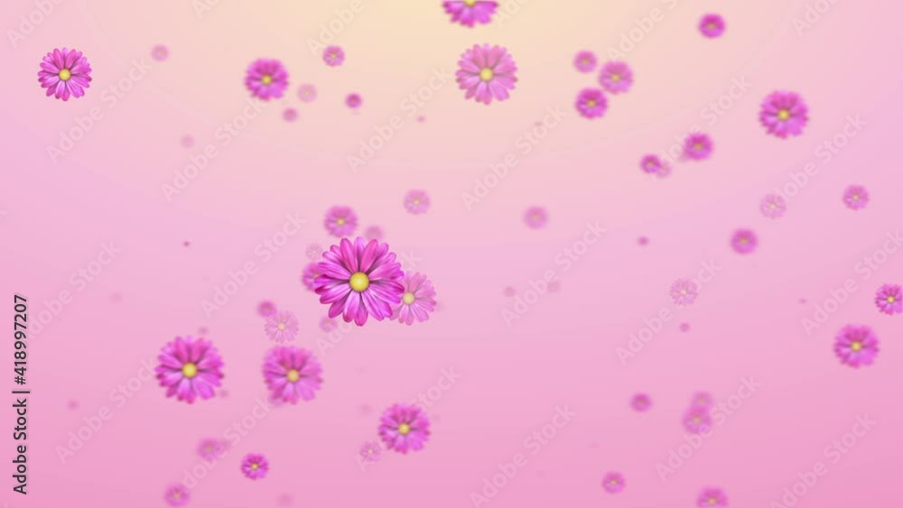 abstract pink peachy flowers appearing background, colorful botanical motion design, creative floral wallpaper. flowers motion background abstract pink peachy flowers appearing background, colorful botanical motion design, creative floral wallpaper. flowers motion background