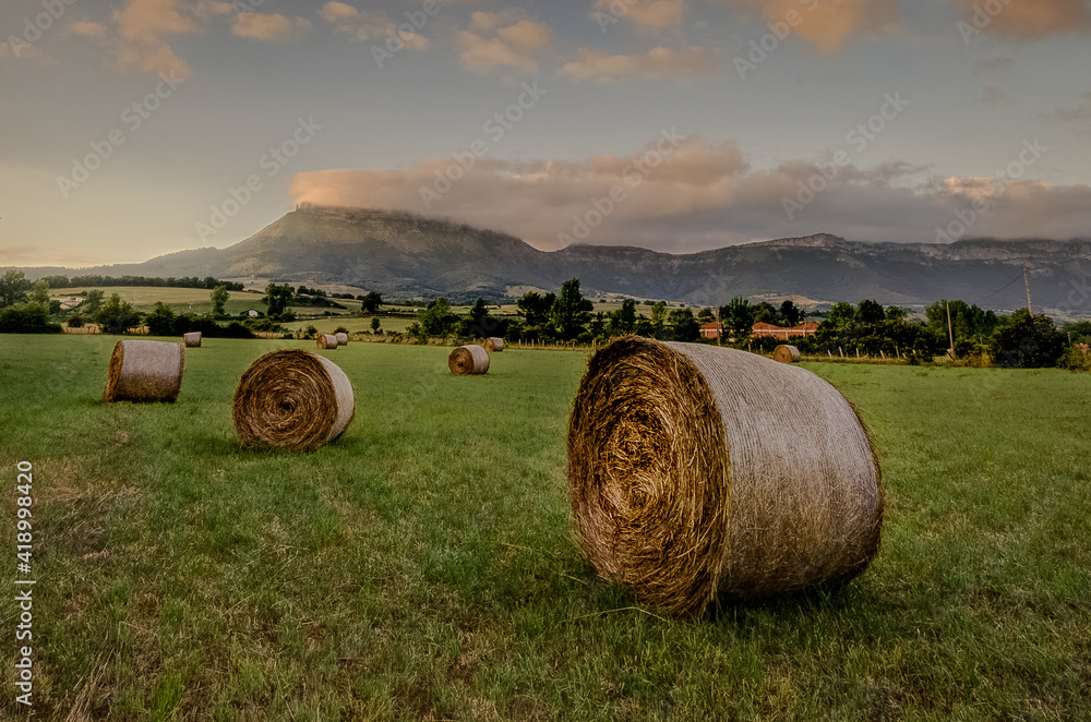 straw bales in a field in spring