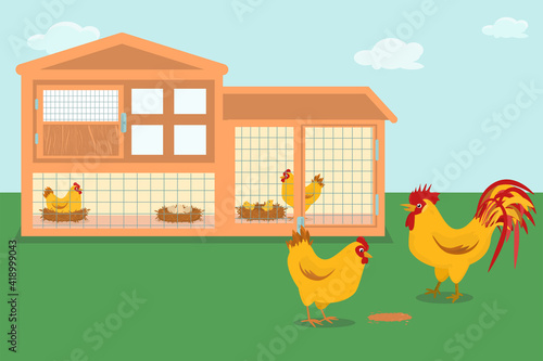 vector illustration of a wooden chicken coop with hens hatching eggs.