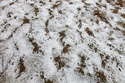 Wallpaper Mural White snow on grass texture background Torontodigital.ca