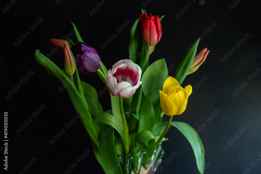 Spring flowers on a dark background. Spring flowers on a dark background.