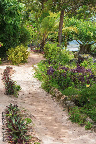 Footpath in tropical garden on the seaside. Walkway with flowers and low tide landscape through the trees. Tropical village landscape. Empty trail in park near the sea. Summer travel and vacations. 