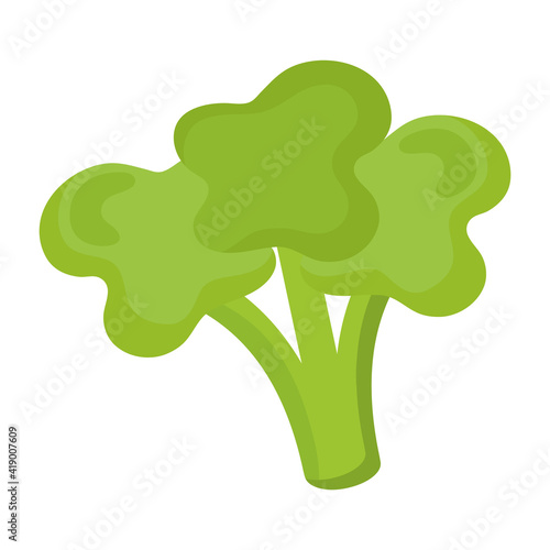 fresh broccoli vegetable healthy food