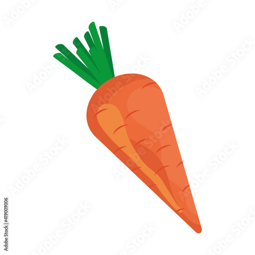 fresh carrot vegetable healthy food
