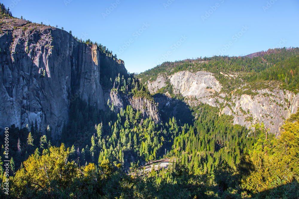 Granite rocks overgrown with forest