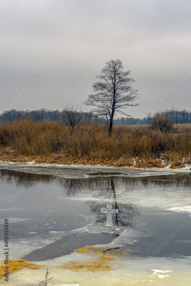 Tree reflected in the river, winter