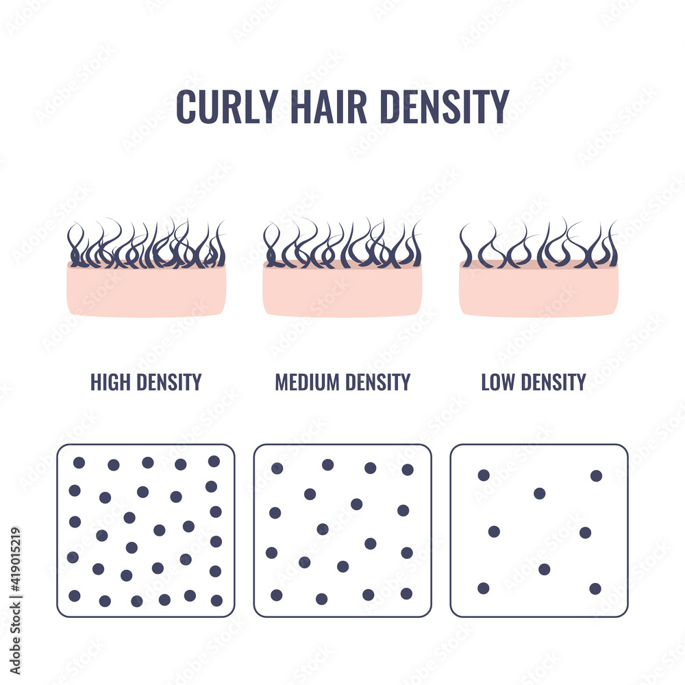 Curly hair density types classification set. Low, medium, high hair volume  on scalp. Anatomical strand structure linear scheme. Outline vector  illustration. Stock Vector | Adobe Stock