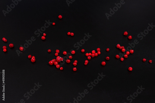 Frozen red currant berries scattered on a black background.