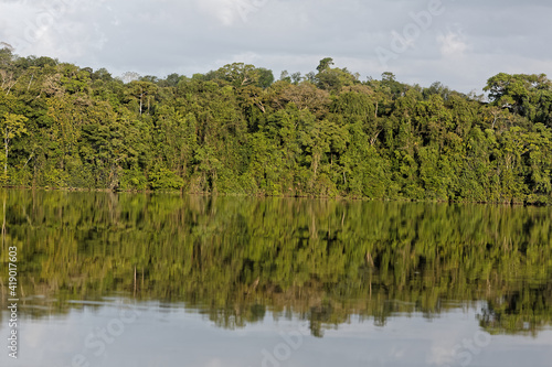 Reflet de la for  t amazonienne sur le fleuve haut-Maroni en Guyane fran  aise