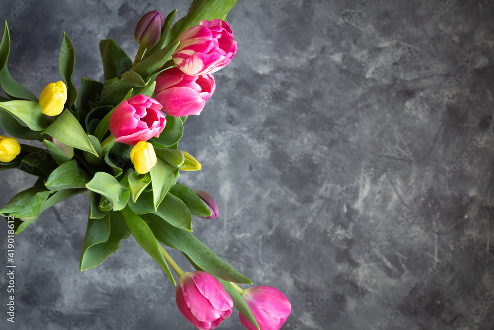 Pink and Yellow tulips on grey background