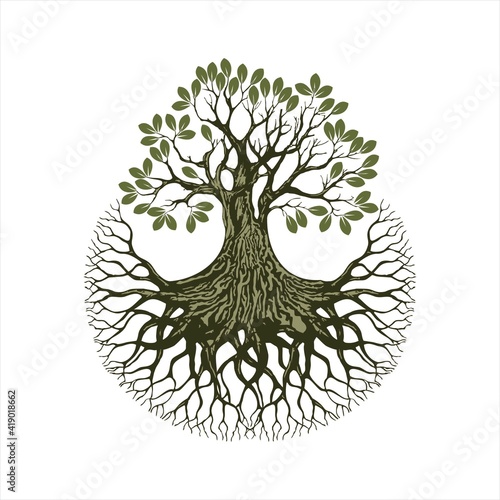Abstract vibrant tree logo design, root vector - Tree of life logo design inspiration isolated on white background.